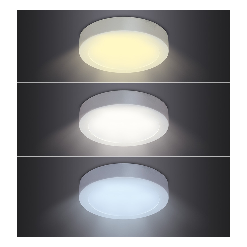 LED-loftlampe LED/24W/230V 3000/4000/6000K Ø 30 cm hvid