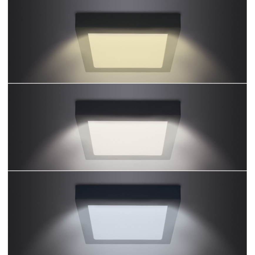 LED loftlampe LED/24W/230V 3000/4000/6000K sort kantet