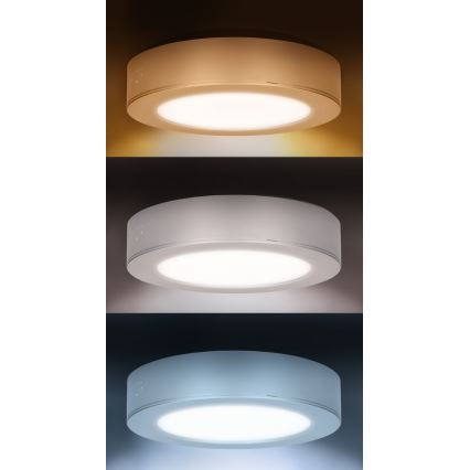 LED overflade-/indbygningspanel 2-i-1, 12W, 230V, 3000/4000/6000K, Ø17 cm, IP54, sølv