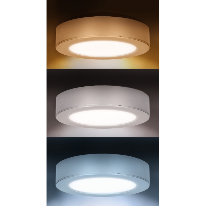 LED påbygget/indbygningspanel 2-i-1 LED/12W/230V 3000/4000/6000K Ø17 cm IP54 hvid