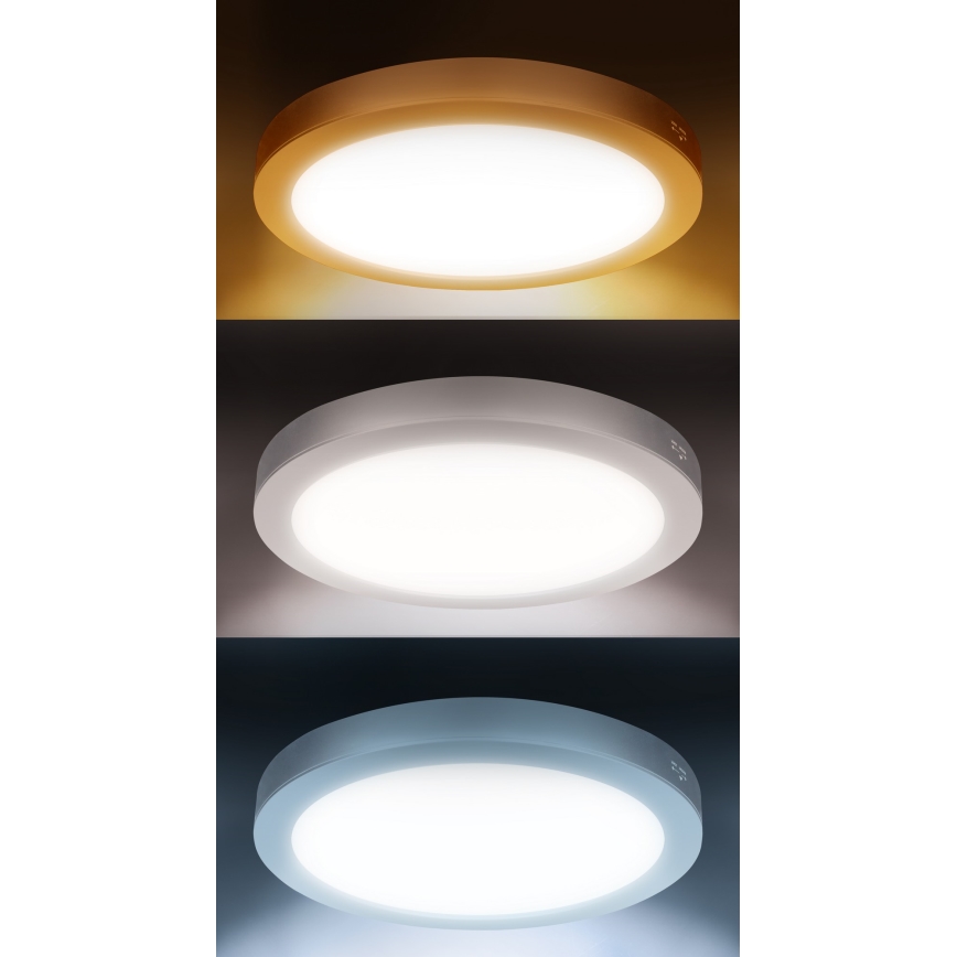LED påbygget/indbygget panel 2-i-1 18W/230V 3000/4000/6000K Ø22,5 cm IP54 hvid