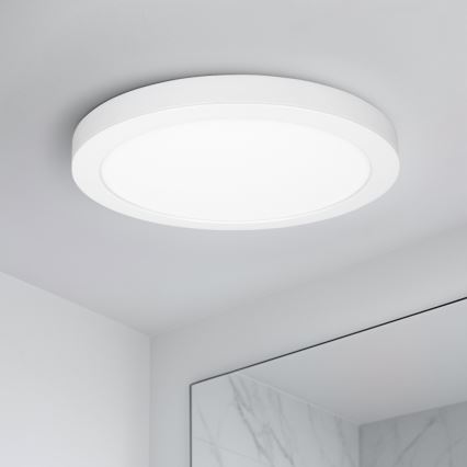 LED påbygget/indbygningspanel 2-i-1 24W/230V 3000/4000/6000K Ø 30 cm IP54 hvid