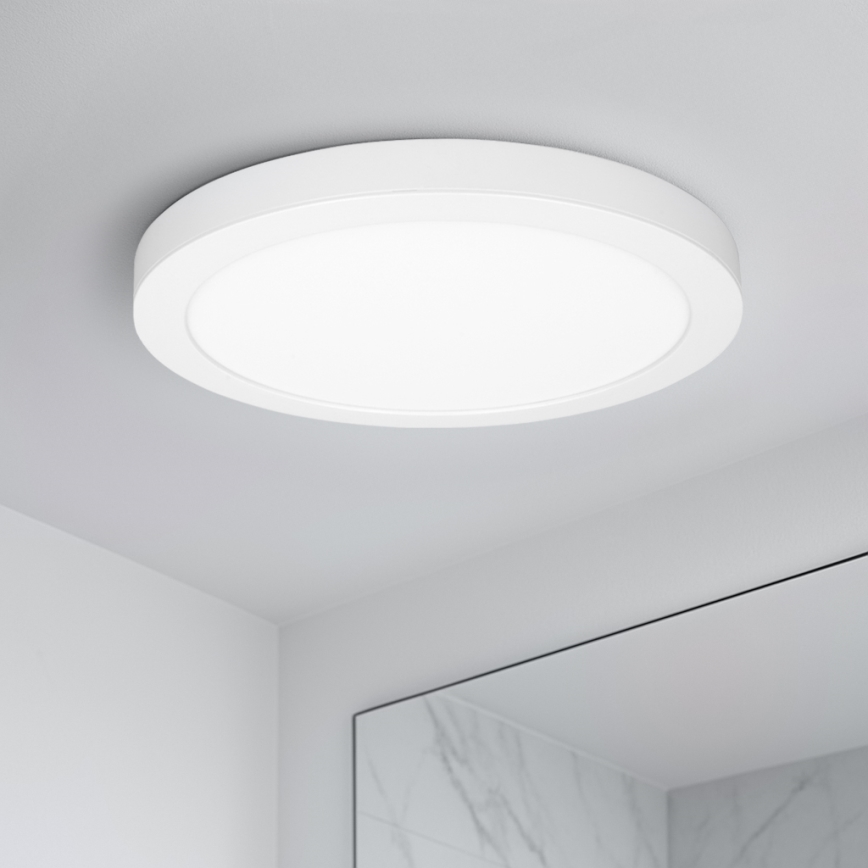 LED påbygget/indbygningspanel 2-i-1 24W/230V 3000/4000/6000K Ø 30 cm IP54 hvid