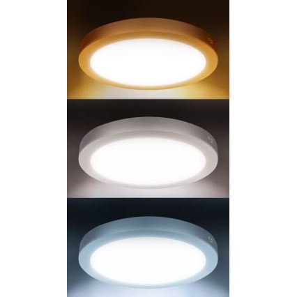 LED påbygget/indbygningspanel 2-i-1 24W/230V 3000/4000/6000K Ø 30 cm IP54 hvid