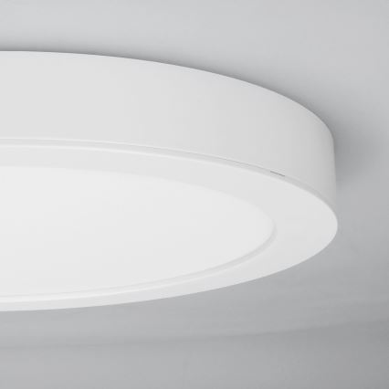 LED påbygget/indbygningspanel 2-i-1 24W/230V 3000/4000/6000K Ø 30 cm IP54 hvid