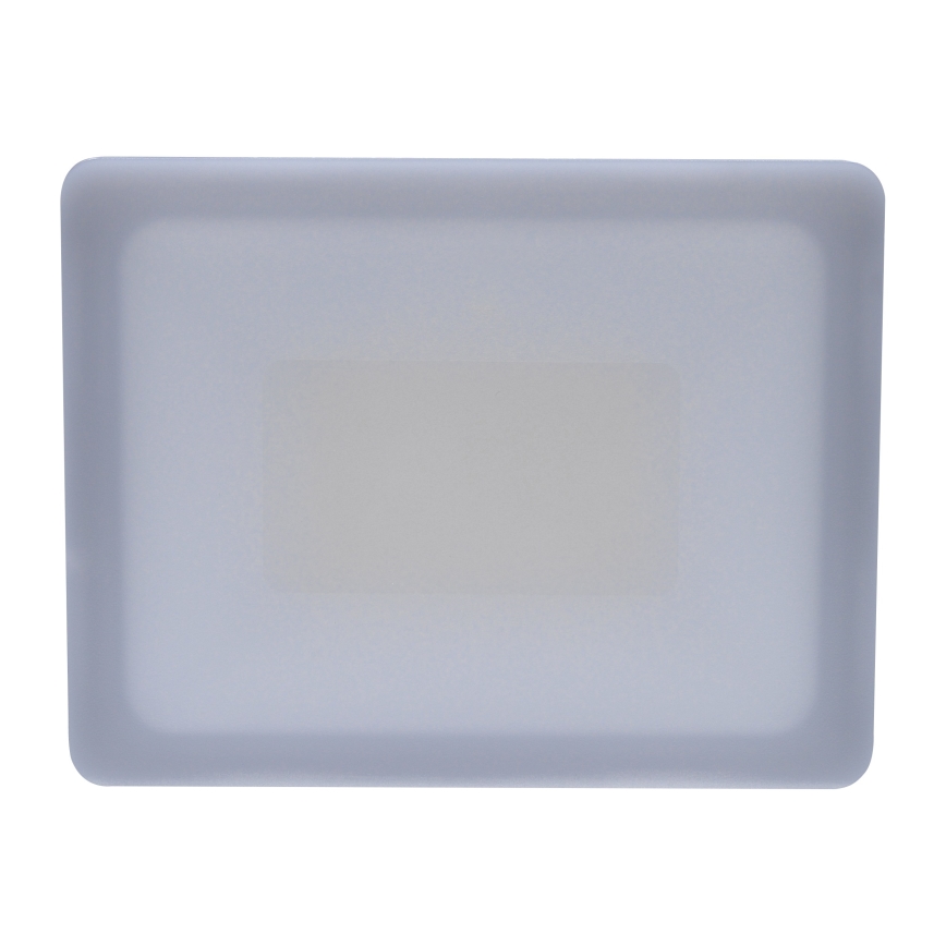 LED Udendørs projektør LED/30W/230V 4000K IP65