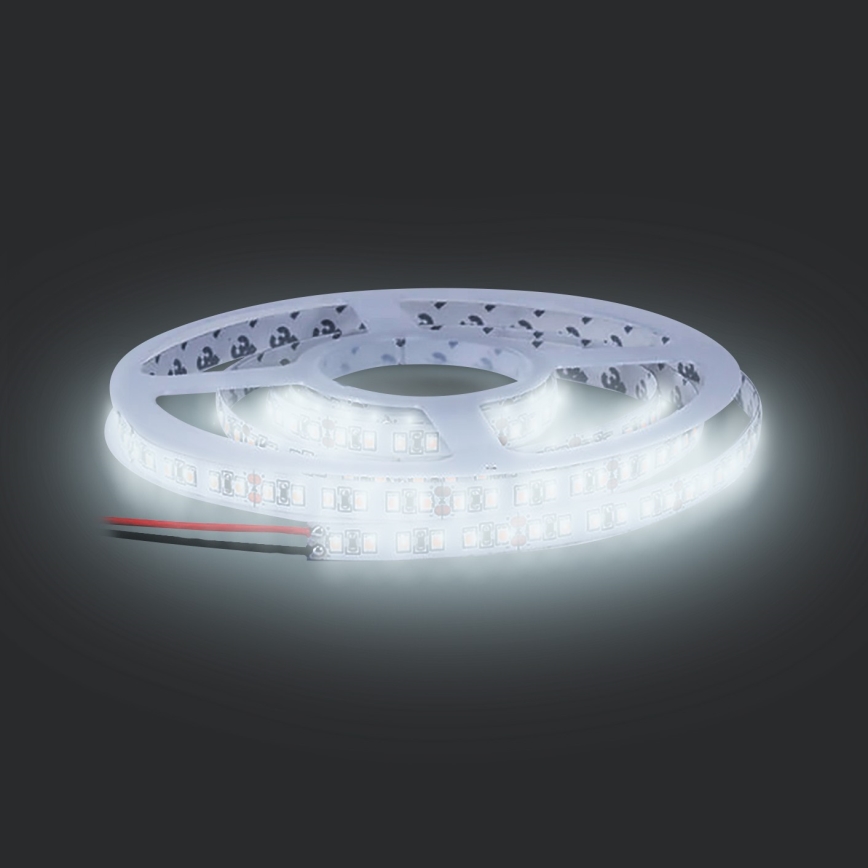 LED lysbånd LED/50W/12V 5 m kold hvid