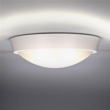 Udendørs LED loftslampe 1xLED/18W/230V  IP65