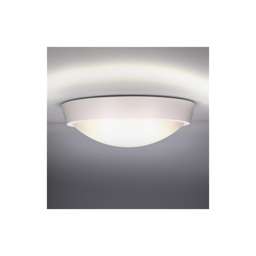 Udendørs LED loftslampe 1xLED/18W/230V  IP65