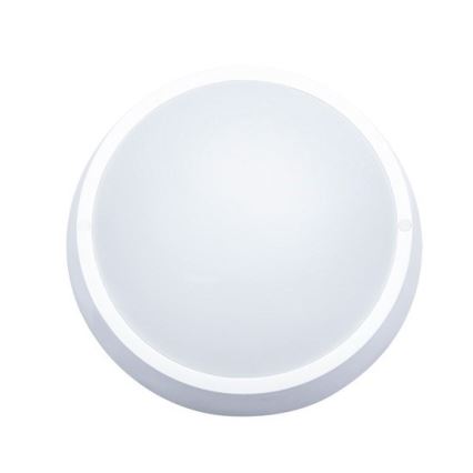 LED udendørs loftarmatur LED/30W/230V IP65