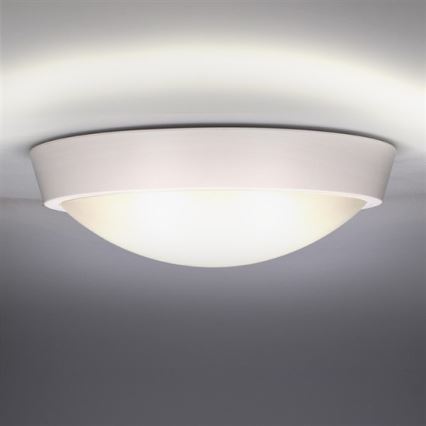 LED udendørs loftarmatur LED/30W/230V IP65
