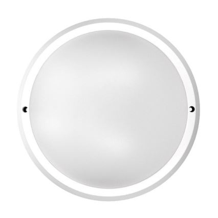 Udendørs LED loftslampe 1xLED/30W/230V  IP65