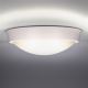 Udendørs LED loftslampe 1xLED/30W/230V  IP65