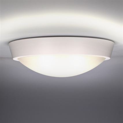 Udendørs LED loftslampe 1xLED/30W/230V  IP65