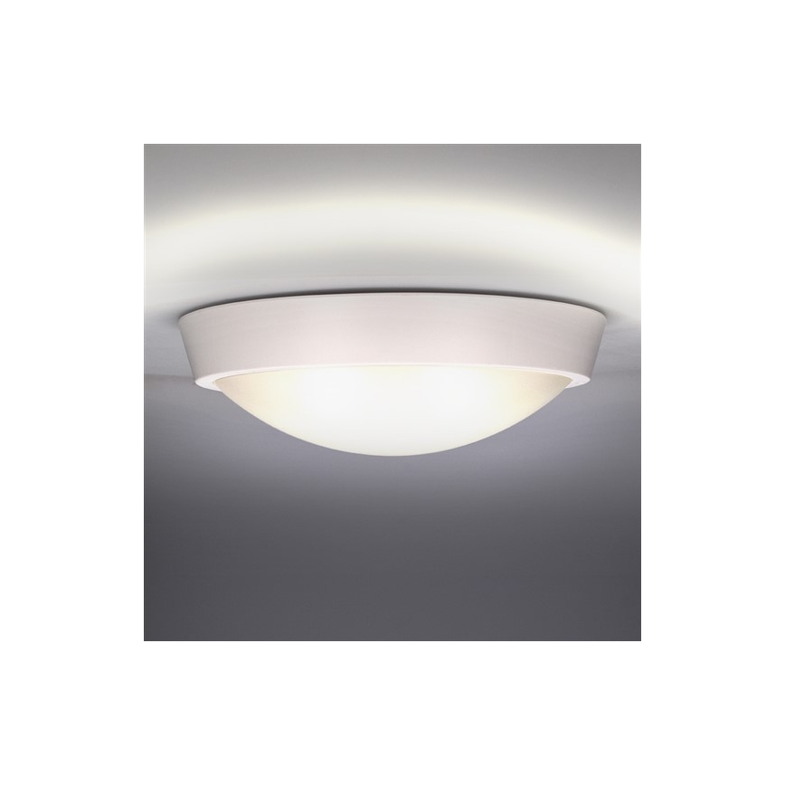 Udendørs LED loftslampe 1xLED/30W/230V  IP65