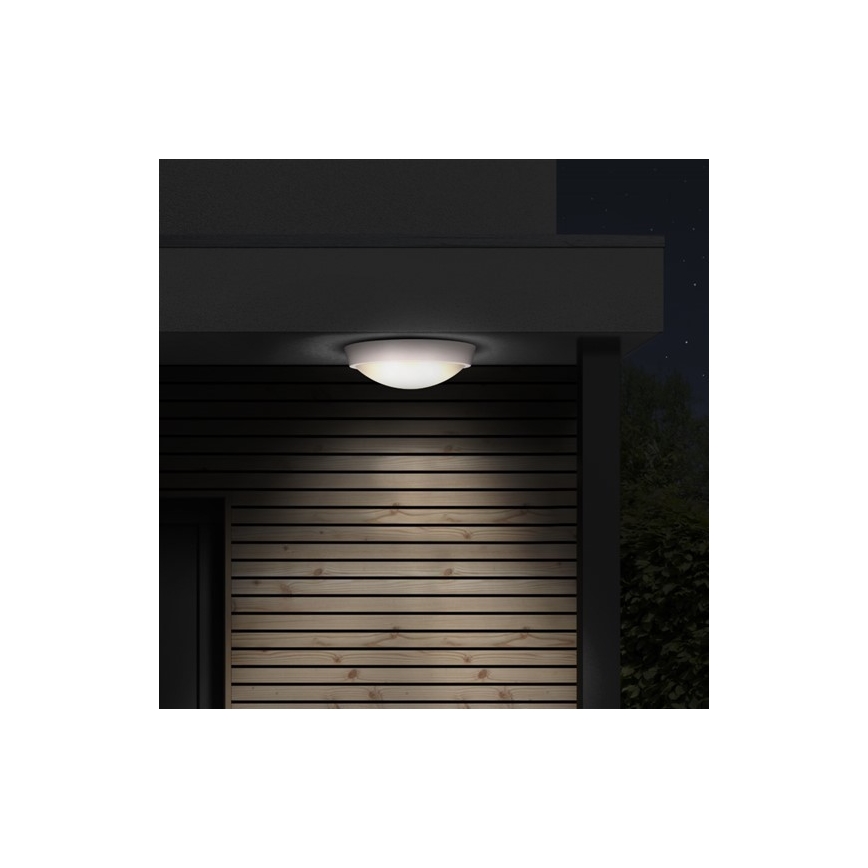 Udendørs LED loftslampe 1xLED/30W/230V  IP65
