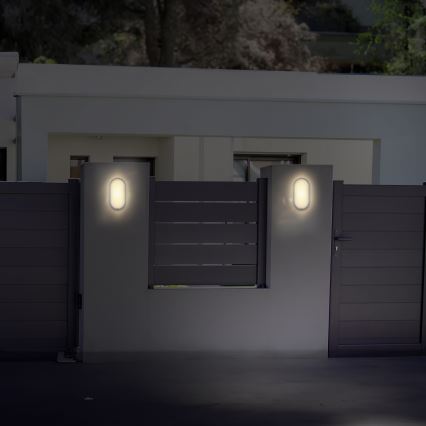Udendørs LED væglampe LED/20W/230V 4000K IP54 grå oval