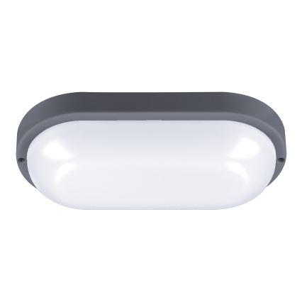 Udendørs LED væglampe LED/20W/230V 4000K IP54 grå oval