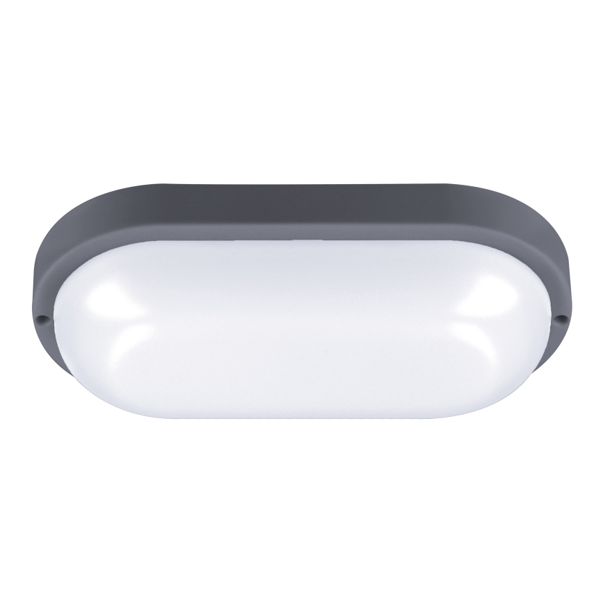Udendørs LED væglampe LED/20W/230V 4000K IP54 grå oval