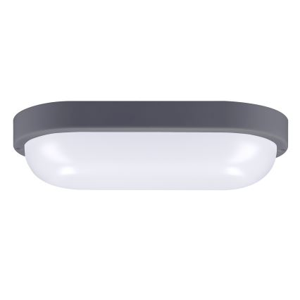 Udendørs LED væglampe LED/20W/230V 4000K IP54 grå oval