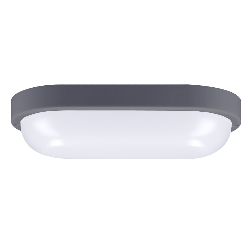 Udendørs LED væglampe LED/20W/230V 4000K IP54 grå oval