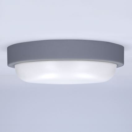 Udendørs LED væglampe LED/20W/230V 4000K IP54 grå rund