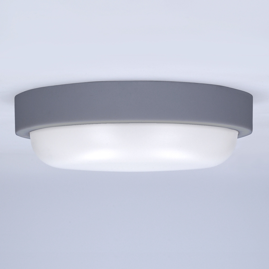 Udendørs LED væglampe LED/20W/230V 4000K IP54 grå rund