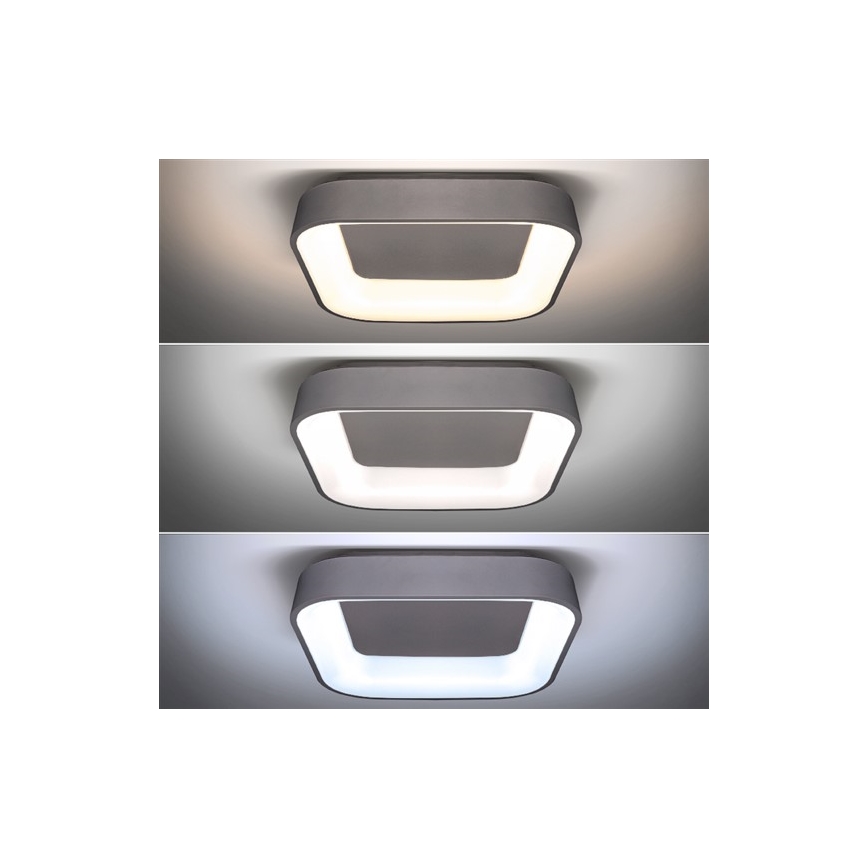 LED lysdæmper loftslampe TREVISO LED/48W/230V + Fjernbetjening