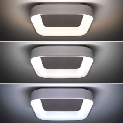 LED loftlampe dæmpbar LED/48W/230V + fjernbetjening