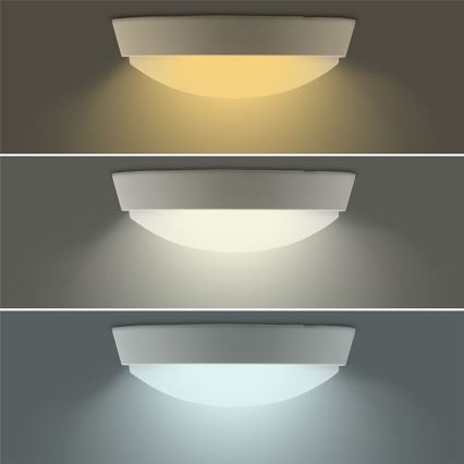 LED udendørslampe 2-i-1 LED/12W/230V IP54