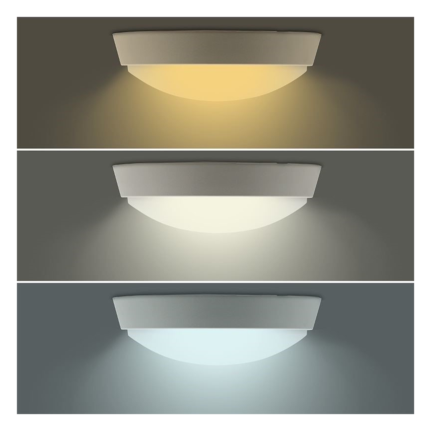 LED udendørslampe 2-i-1 LED/12W/230V IP54