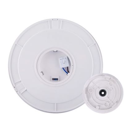 LED udendørslampe 2-i-1 LED/12W/230V IP54