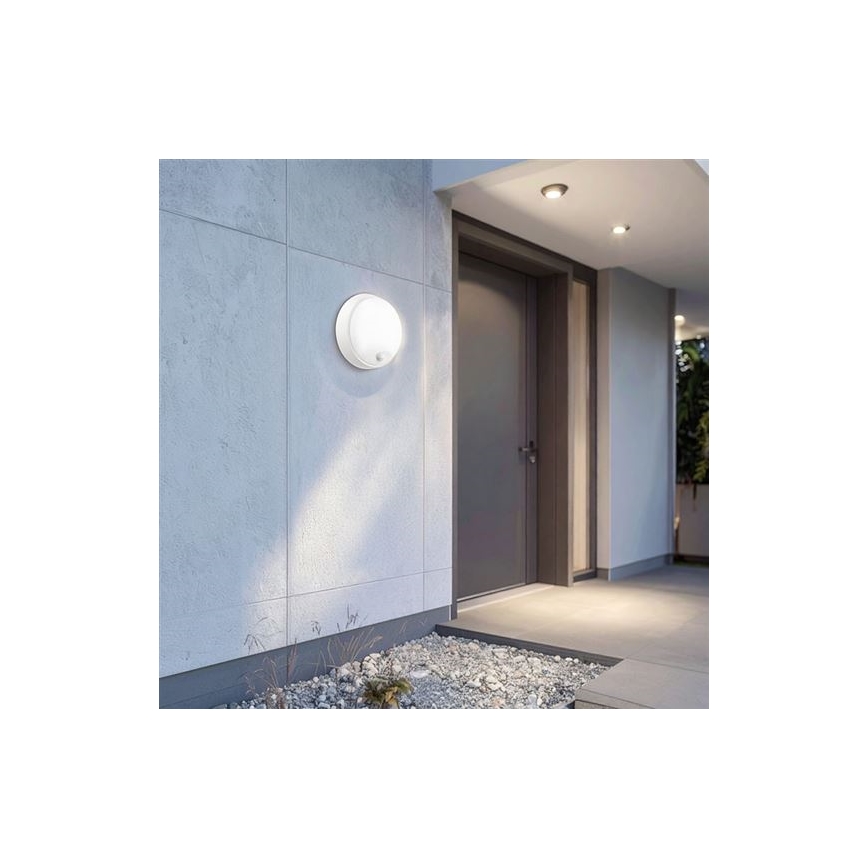 LED udendørs væglampe med sensor 2-i-1 LED/20W/230V 3000/4000/6500K IP65 Ø 22 cm
