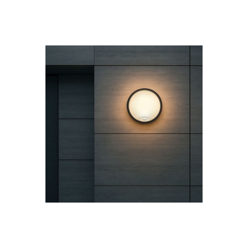 LED udendørs væglampe med sensor 2-i-1 LED/20W/230V 3000/4000/6500K IP65 Ø 22 cm