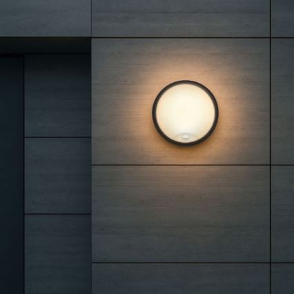 LED udendørs væglampe med sensor 2-i-1 LED/20W/230V 3000/4000/6500K IP65 Ø 22 cm