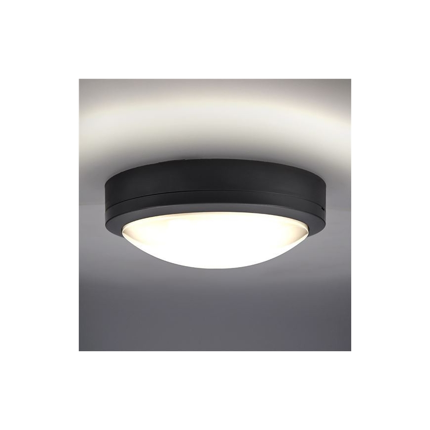 Udendørs LED loftlampe med sensor SIENA LED/20W/230V 4000K diameter 23 cm IP54