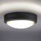 Udendørs LED loftlampe SIENA LED/20W/230V IP54 diameter 23 cm antracit