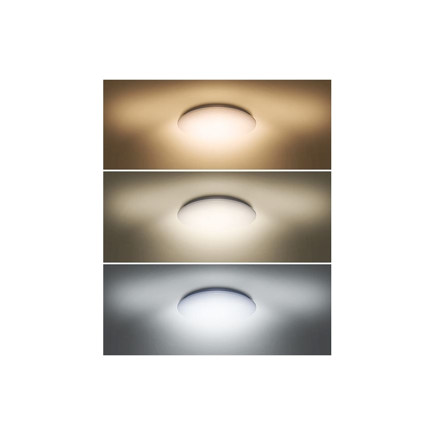 LED loftlampe PLAIN LED/24W/230V 3000K/4000K/6000K rund