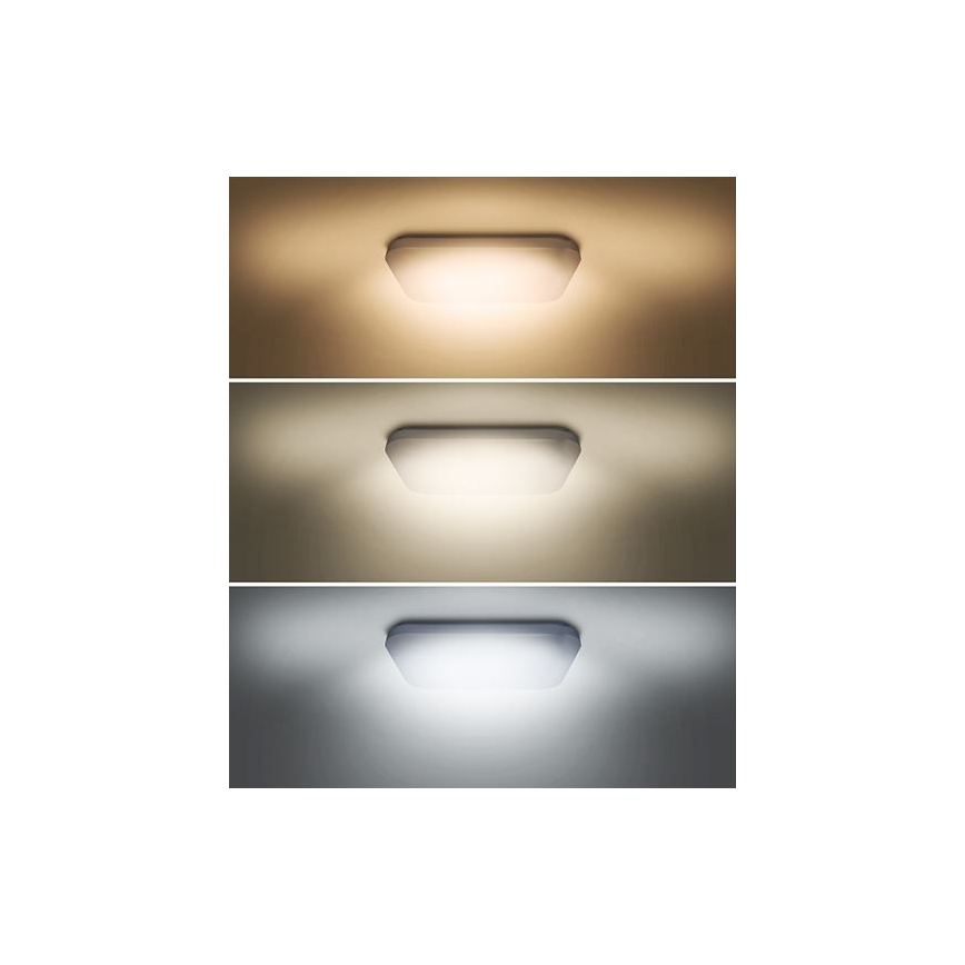 LED loftlampe PLAIN LED/24W/230V 3000K/4000K/6000K firkantet