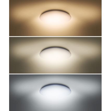 LED loftlampe PLAIN LED/36W/230V 3000/4000/6000K rund