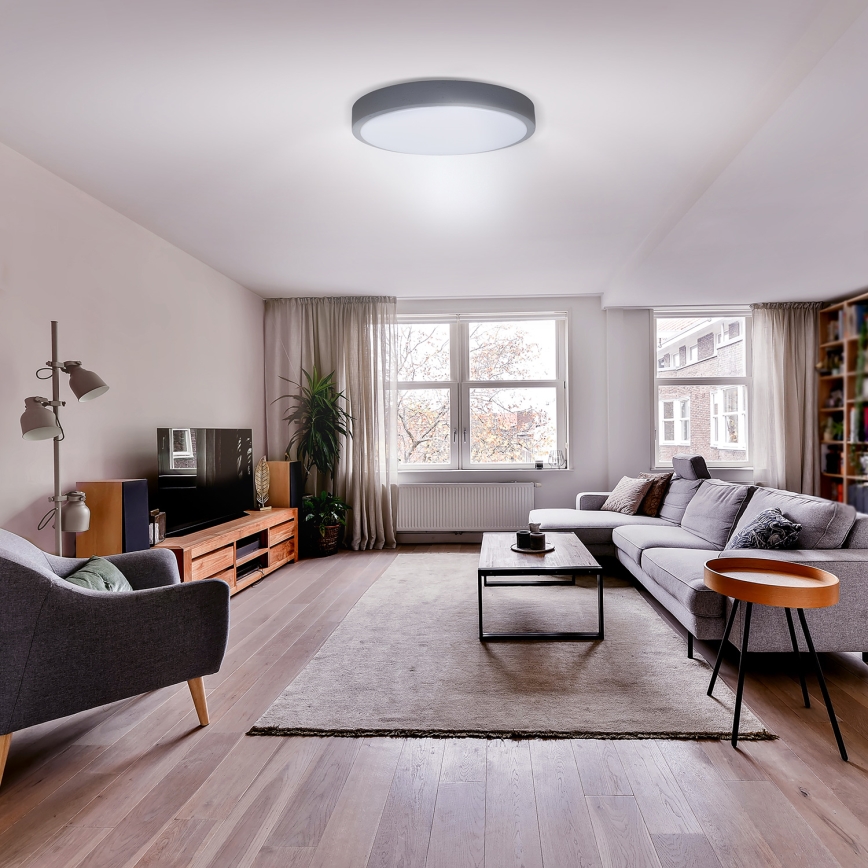 LED loftlampe dæmpbar GREY LED/60W/230V 3000-6500K grå diameter 49 cm + fjernbetjening