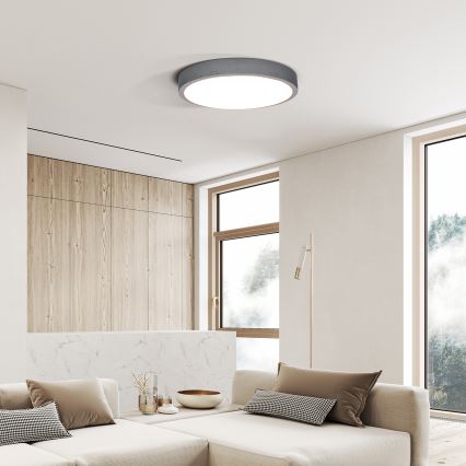 LED loftlampe dæmpbar GREY LED/60W/230V 3000-6500K grå diameter 49 cm + fjernbetjening