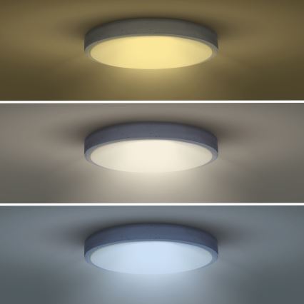 LED loftlampe dæmpbar GREY LED/60W/230V 3000-6500K grå diameter 49 cm + fjernbetjening