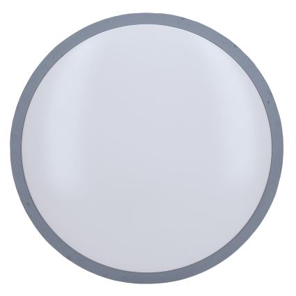 LED loftlampe dæmpbar GREY LED/60W/230V 3000-6500K grå diameter 49 cm + fjernbetjening