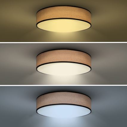 LED loftlampe dæmpbar BROWNIE LED/48W/230V 3000-6500K brun diameter 40 cm + fjernbetjening