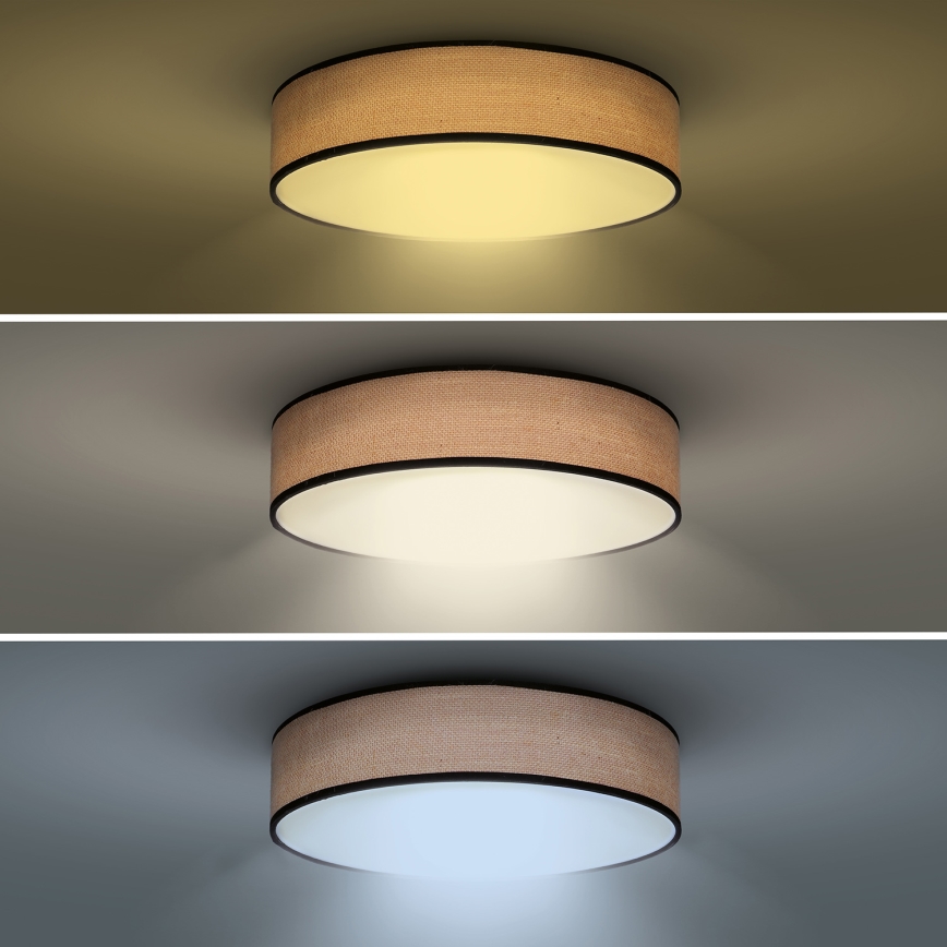 LED loftlampe dæmpbar BROWNIE LED/48W/230V 3000-6500K brun diameter 40 cm + fjernbetjening