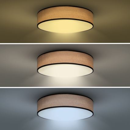 LED loftlampe dæmpbar BROWNIE LED/60W/230V 3000-6500K brun diameter 50 cm + fjernbetjening