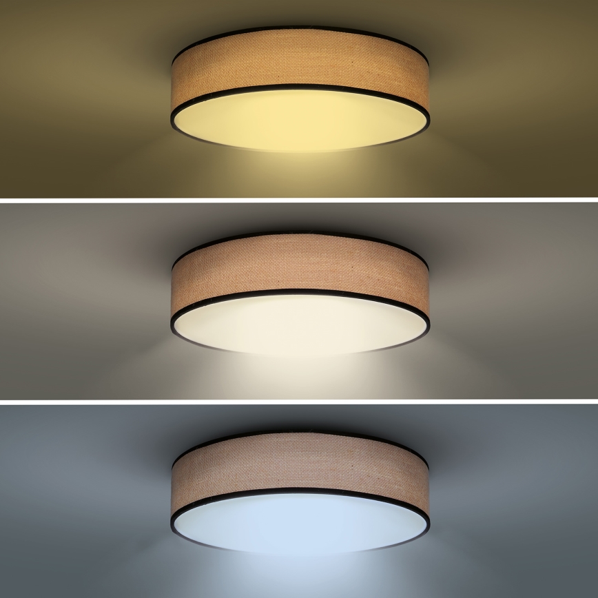 LED loftlampe dæmpbar BROWNIE LED/60W/230V 3000-6500K brun diameter 50 cm + fjernbetjening