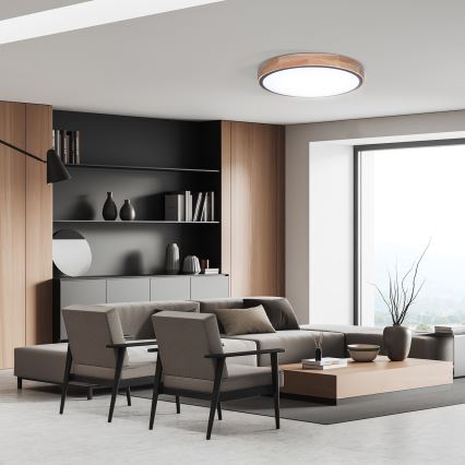 LED dæmpbar loftlampe IRON OAK LED/48W/230V 3000-6500K eg Ø 40 cm + fjernbetjening