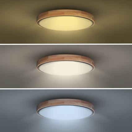 LED dæmpbar loftlampe IRON OAK LED/48W/230V 3000-6500K eg Ø 40 cm + fjernbetjening